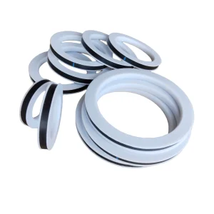1.5 Inch PTFE and EPDM Fluorine Rubber Sealing Gasket Anti Corrosion with Cutting Service and Good Quality
