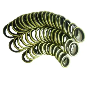 304 Stainless Steel EPDM Rubber Combined Bonded Composite Industrial Sealing Gasket Parts Customized Model Bright Brand China