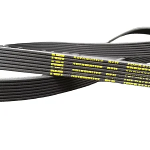 5PK1300 Ribbed Transmission Belt OEM Customizable Rubber Vehicle Belt
