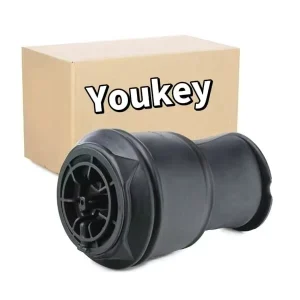 Air Suspension Air Spring Ballon for Citroen C4 Picasso 06 13 Rear 5102GN 5102R8 9681946080 5102GQ 5102GP