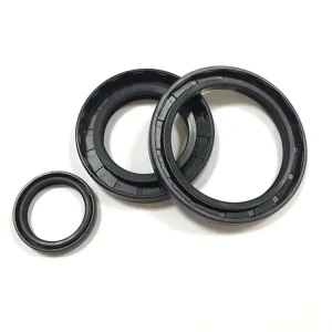 All Sizes Rubber Oil Seal Cross Reference Motorcycle Part Fkm Nbr