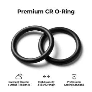 Black CR O-Ring Neoprene Seal for Centrifugal Pumps and Mixer Shaft Seals