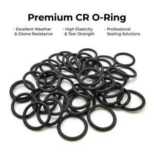 Custom Molded CR O-Ring Flame Retardant Neoprene Gasket for Railway Signals and Public Transit Infrastructure