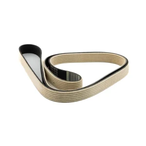 Customizable OEM Poly V Belts EPDM Rubber Industry Transmission Multi Ribbed Belts PJ PH PK PL Type Fan Belt
