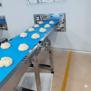 Customized Food Grade Stainless Steel 304 Belt Conveyor for Dough Bread Biscuit Baking Production Line