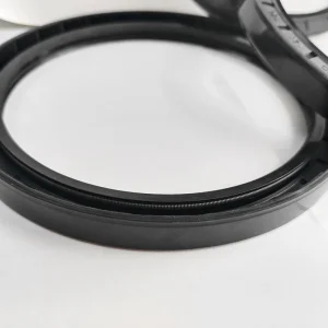 Cylinder Block Oil Seal Metal Skeleton Rubber Hydraulic Cylinder Seal Ring for Industrial Applications