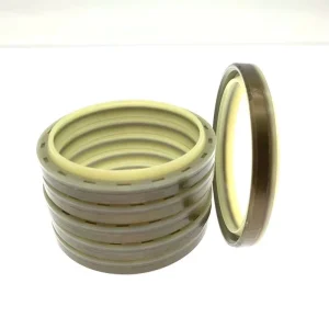 DHS LBI LBH DSI Oil Seal Polyurethane NBR FKM Rubber Wiper Dust