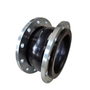 DN40 DIN PN16 Forged Stainless Steel 304 Flexible NBR Pump Pipe Compensator Flanged Rubber Expansion Joint Low Corrosion