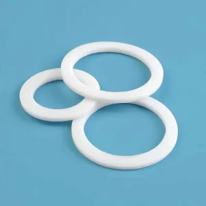 Food Grade PTFE Gasket for Food Pharmaceutical Factories High Pressure Resistance Corrosion Resistant Customizable Shape