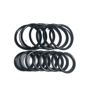 High Temperature O Ring Oil Waterproof Nitrile Seal Excellent Stability Black Rubber O Ring