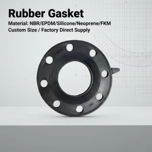 Molded Flexible Rubber EPDM NBR NR Flange Gasket for Pump Fittings