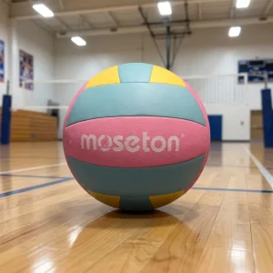 Oem Customized Logo Professionally Volleyball Price Best Design Professionally Manufacturing Latest Arrival Volleyball