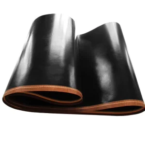 PTFE Fiberglass Endless Conveyor Belt Seamless Garment Fusing Machine Belts