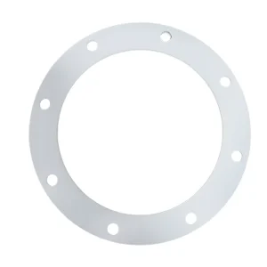 PTFE Rubber Flat Gasket and Washer, Factory Direct