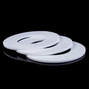 PTFE Seal Gasket Ring Fujian Custom Model