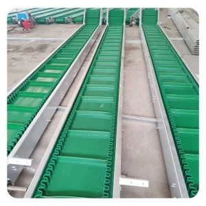 PVC and Rubber Belt Conveyor with Green Guide Rails for Assembly Lines and Manufacturing Plants