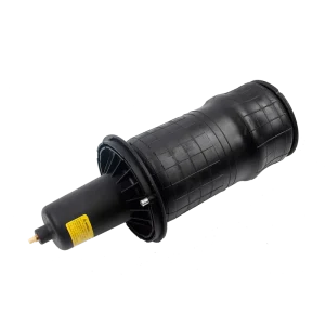 REB101740 Air Suspension Shock Absorber for L and R Over Front Left Right Cars