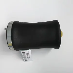 Rear Right Air Suspension Spring Bag Fit for BMW X5 E53 Premium Replacement Air Suspension Bag