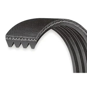 Rubber Transmission Belt 8PK2630 Multi-Ribbed OEM K08103 Fan Belt