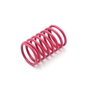Valve Spring