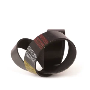 Vibration-Damping Poly Ribbed Transmission Belt for Vehicle Engine Factory Direct Supply ODM