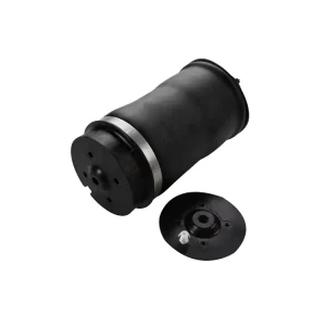 W251 Rear Air Suspension Spring Bag for Mercedes Benz R350 OE 2513200025 2513200325 2513200425