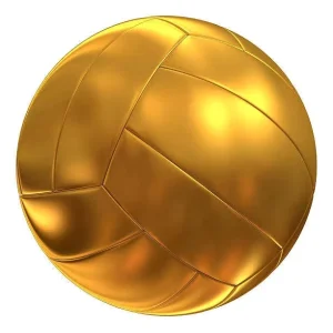 WD2584D Rubber Volleyball, Size 6, Gold, Outdoor Match and Training Ball